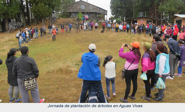 Siembra-árboles en Aguas Vivas-Soacha