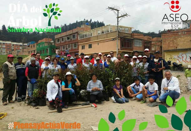 piensa_y_actua_verde.jpg