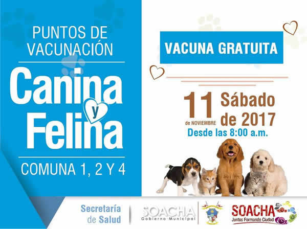 vacunacion-3.jpg