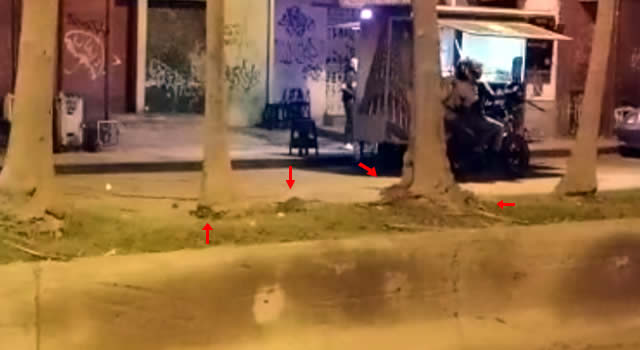 Comunidad denuncia que las ratas abundan en Soacha