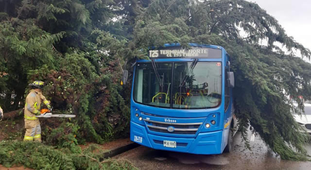 Árbol cayó encima de un bus del SITP en la autopista Norte de Bogotá