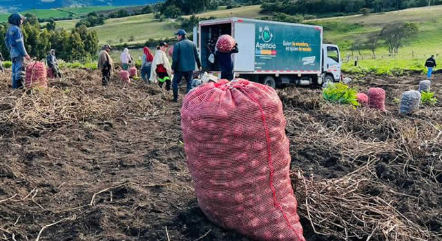 Cundinamarca comprará cosechas a los campesinos de 5 departamentos
