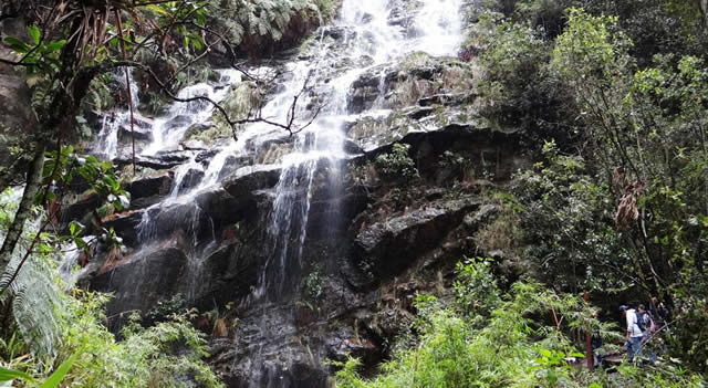 Atracaron a 15 turistas extranjeros en los cerros de Bogotá, les quitaron hasta los tenis y los pasaportes