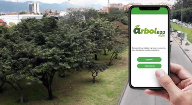 aplicación para proteger árboles, se pueden identificar las especies de árboles, sus características, conocer datos curiosos como el árbol más antiguo, así como apadrinar o reportar su estado.