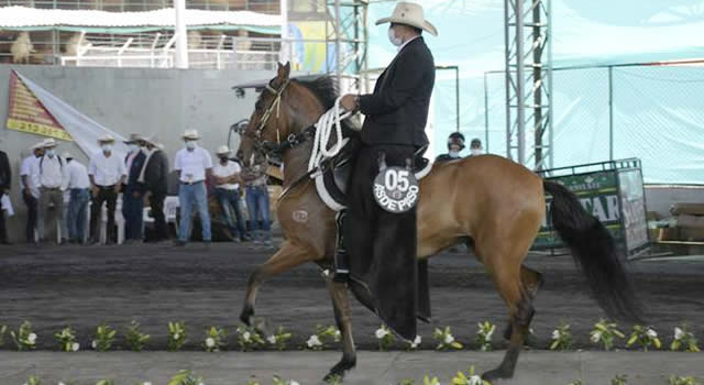 Se acerca la VII Exposición Equina en Chipaque, Cundinamarca
