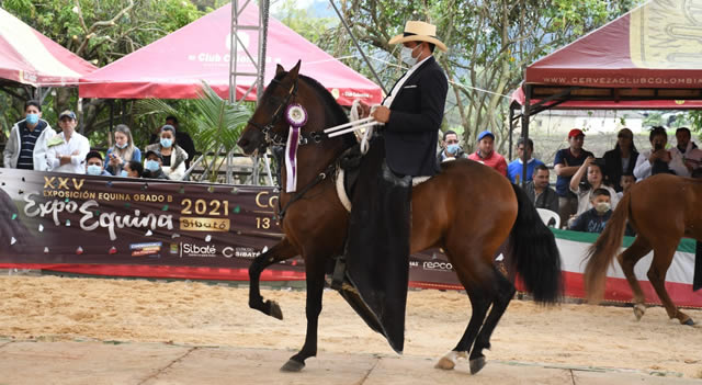 Este fin de semana viva la XXVI Exposición Equina grado B en el coliseo de ferias de Sibaté