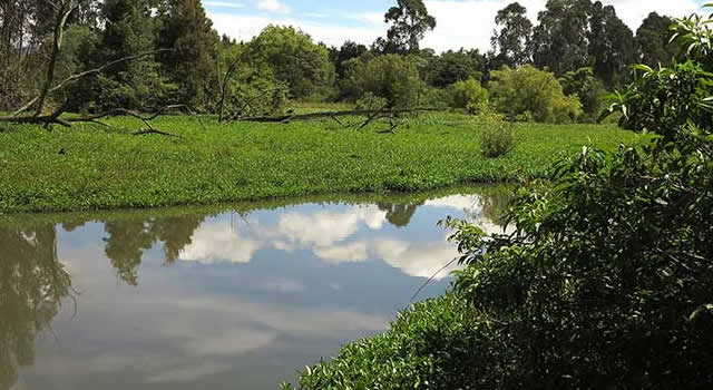 Por causa de la lluvia cinco humedales en Bogotá son cerrados