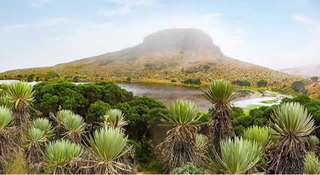 ATN declara al Sumapaz como la primera Zona de Reserva Campesina