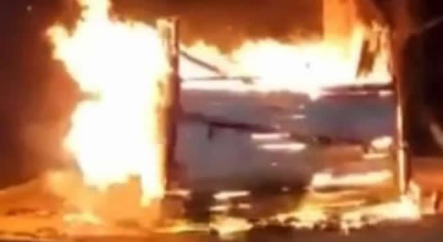 En Santa Marta prendieron fuego a 50 gatos guardados en un refugio