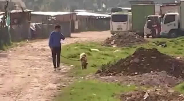Habitantes en Suba están preocupados por invasión de terrenos y uso de lotes ilegales