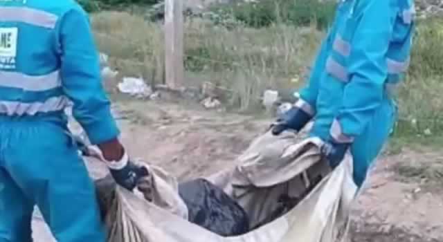 15 perros aparecieron muertos en Ciudad Bolívar
