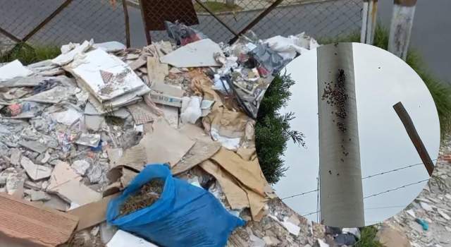 Basuras y panales de abejas perjudican a residentes de San Mateo en Soacha