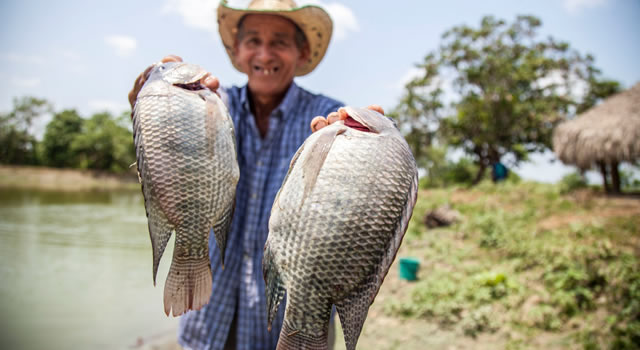 En Semana Santa deseche correctamente las espinas de pescado y los residuos cortopunzantes