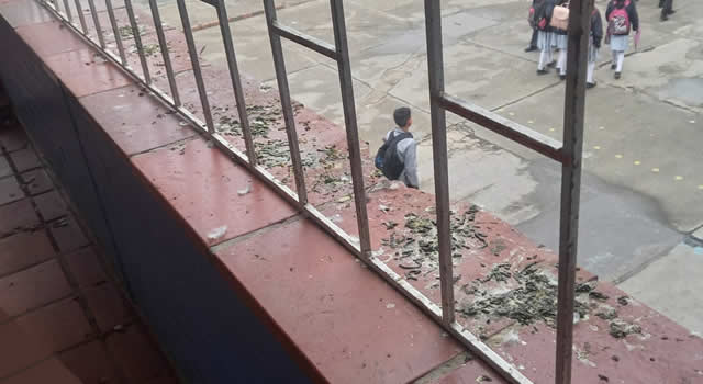 Excremento de paloma invadió sede de la Institución Educativa Ricaurte de Soacha