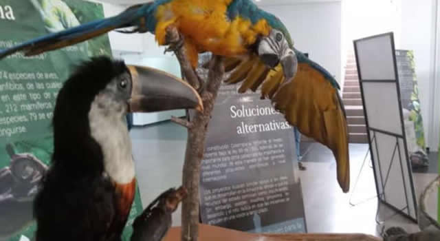 Museo didáctico de Tenjo