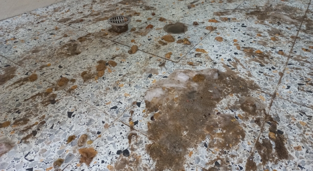 Ciudadanos denuncian emergencia sanitaria en Soacha