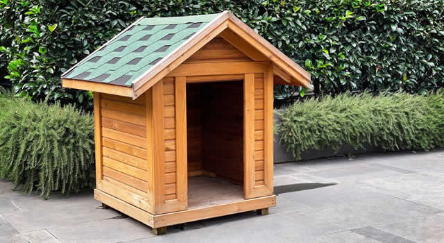 Casas para perros: guía completa para los amantes de los caninos