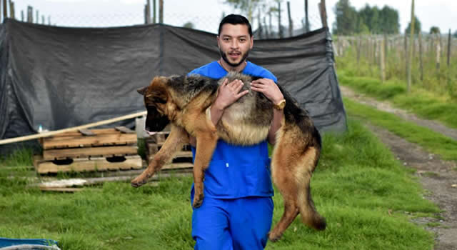Millonaria sanción económica por maltrato animal en Cundinamarca, multa supera los $900 millones