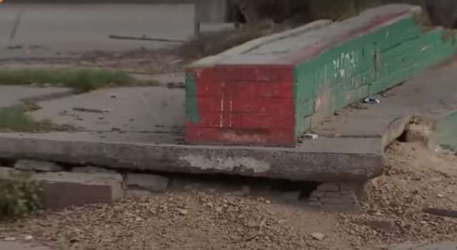 Preocupación en Bosa por presencia de ratones en las calles