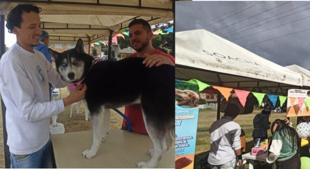 feria canina
