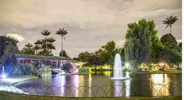Este viernes habrá Jardín de Noche