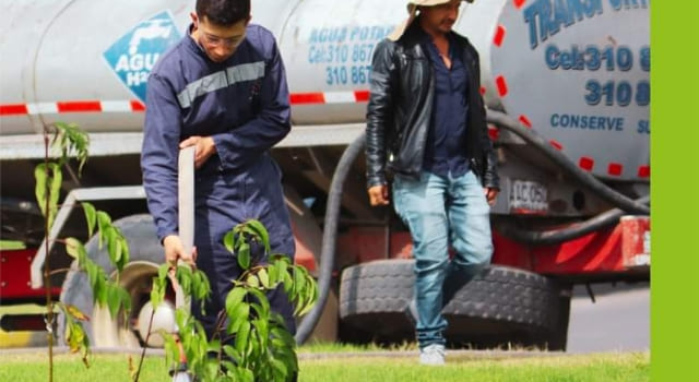 mantenimiento de árboles en Ciudad Verde