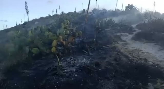 Fuerte incendio en Ciudad Verde