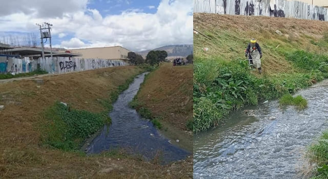 jornada de limpieza en la Quebrada Tibanica