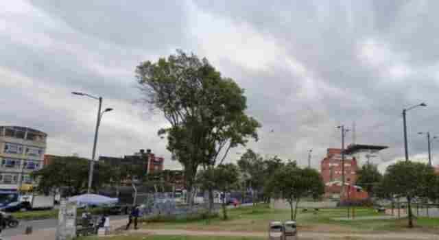 Hallaron a un perro torturado y asesinado en Bogotá