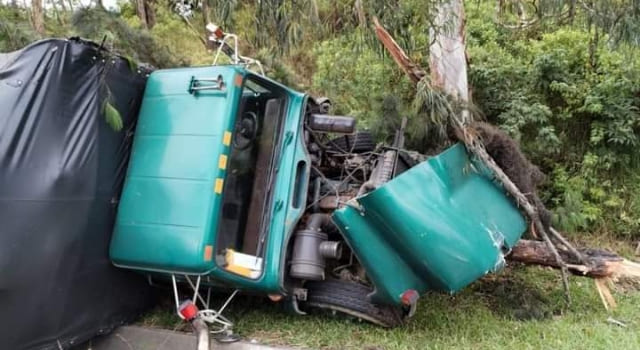 Camión chocó contra un árbol en la vía al Llano