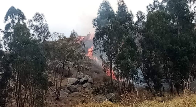 incendio forestal en Ciudad Verde