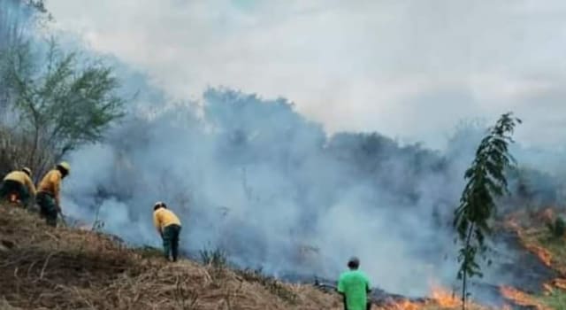 fuerte incendio forestal en Bojacá