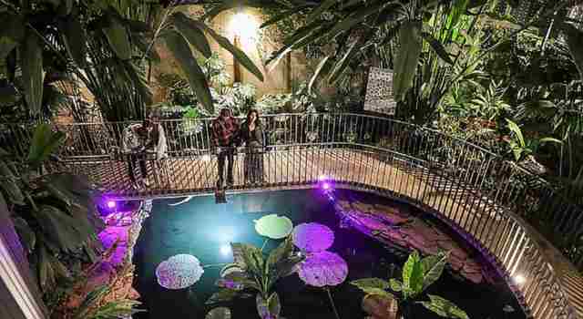 Jardín de Noche