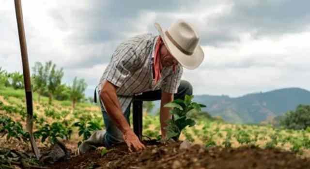 Celebración del Día del Campesino en Fusagasugá