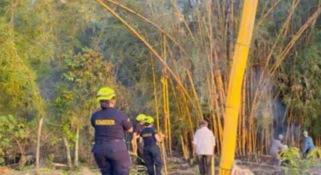 incendios en el municipio de El Colegio