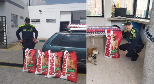 Policías entregaron concentrado a perritos de la calle en Soacha