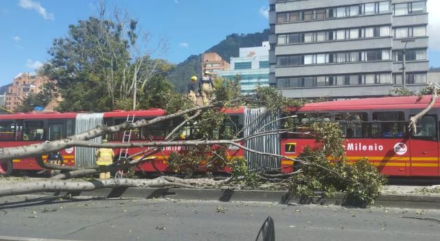 Árbol cayó sobre un bus de Transmilenio en la calle 45