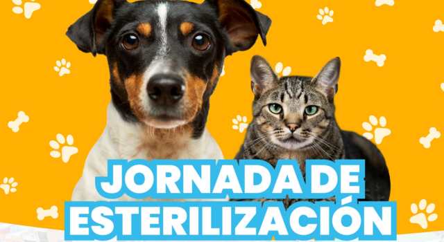 Jornada de esterilización canina y felina a bajo costo en Sibaté