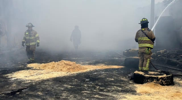 Incendio forestal en Bogotá dejó 11 viviendas quemadas