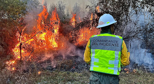 Reviven los incendios forestales en Cundinamarca, hay seis activos