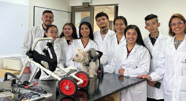 Proyecto P.E.P.A busca mejorar la calidad de vida de los animales