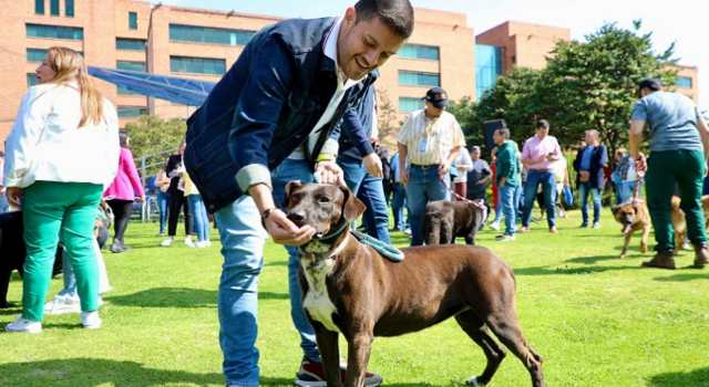 Continúa la Misión 300 un proyecto que busca la adopción de perritos en Cundinamarca