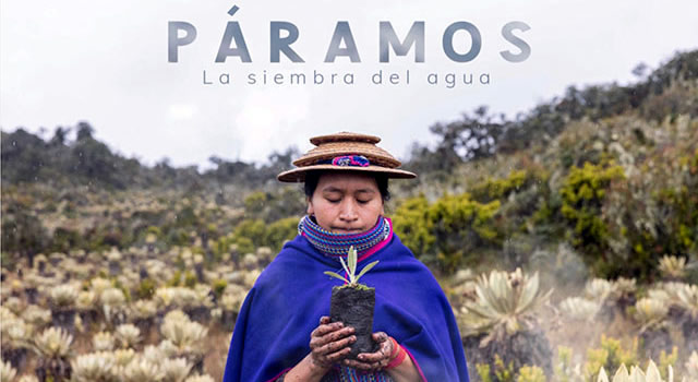 Colombia ganó Festival de Cine Santiago Wild 2024 en la categoría Nuevas voces latinoamericanas