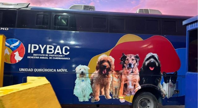 Se esterilizaron 94 animales y se incentivó la adopción en medio de la gira “Nos comprometemos a”