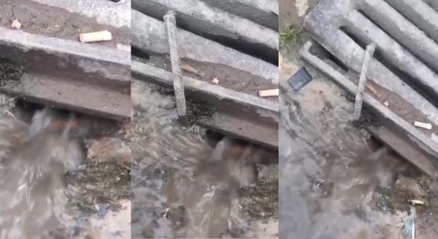 Tubo de agua roto en el barrio La Pradera, primer sector genera preocupación en los residentes
