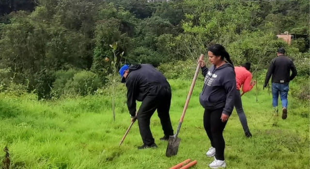jornada de siembra de árboles en humedales de Soacha