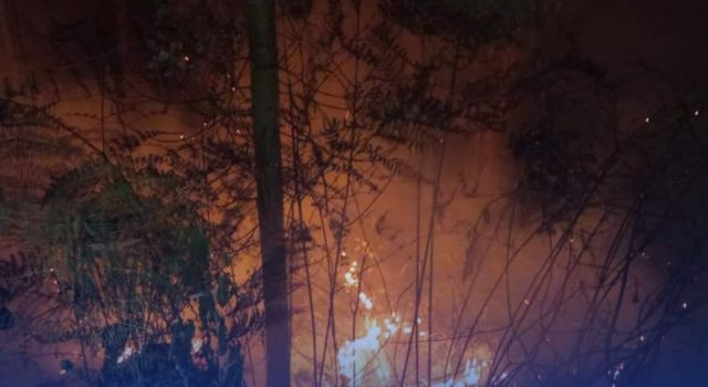 Incendio forestal en San Bernardo encendió alarmas en la comunidad