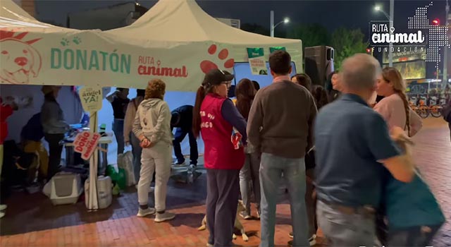 Dos toneladas de alimento se recogieron en la donatón por mascotas abandonadas en Bogotá