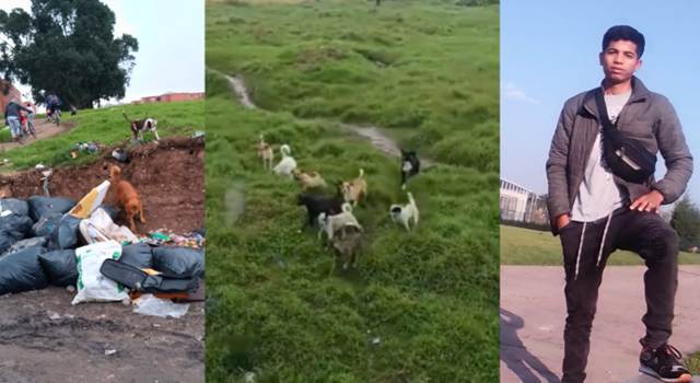 Un feroz ataque de perros en Bosa dejó a un joven de 19 años gravemente herido. El caso ha generado indignación, pues la comunidad había denunciado previamente la presencia de los animales.