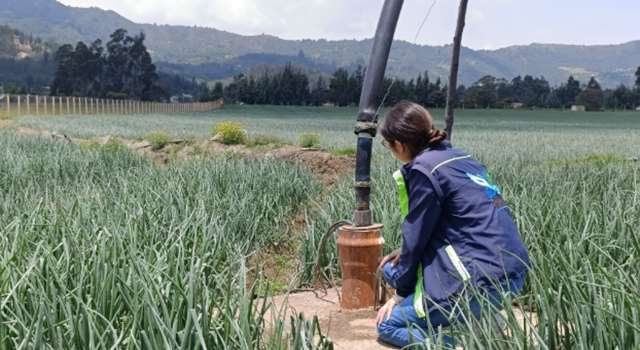 Autoridades ambientales intervinieron un predio donde se detectó extracción ilegal de agua en Fúquene a través de un pozo profundo sin permisos, utilizado para el riego de un cultivo de cebolla de más de 51.500 m².